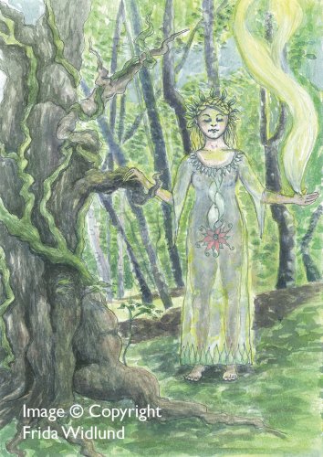 Freya connecting to the tree spirit
